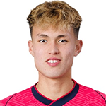 尼科·高桥·森达戈塔